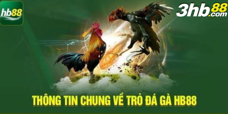 HB88 giới thiệu về đá gà C1- trò chơi thú vị