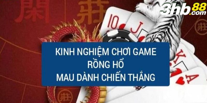 Mẹo chơi Rồng Hổ thắng lớn kinh nghiệm từ cao thủ 